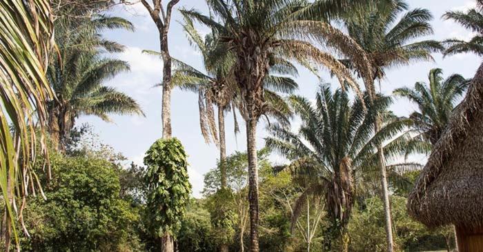 Savanna Orinoquia Lodge Orocué Εξωτερικό φωτογραφία